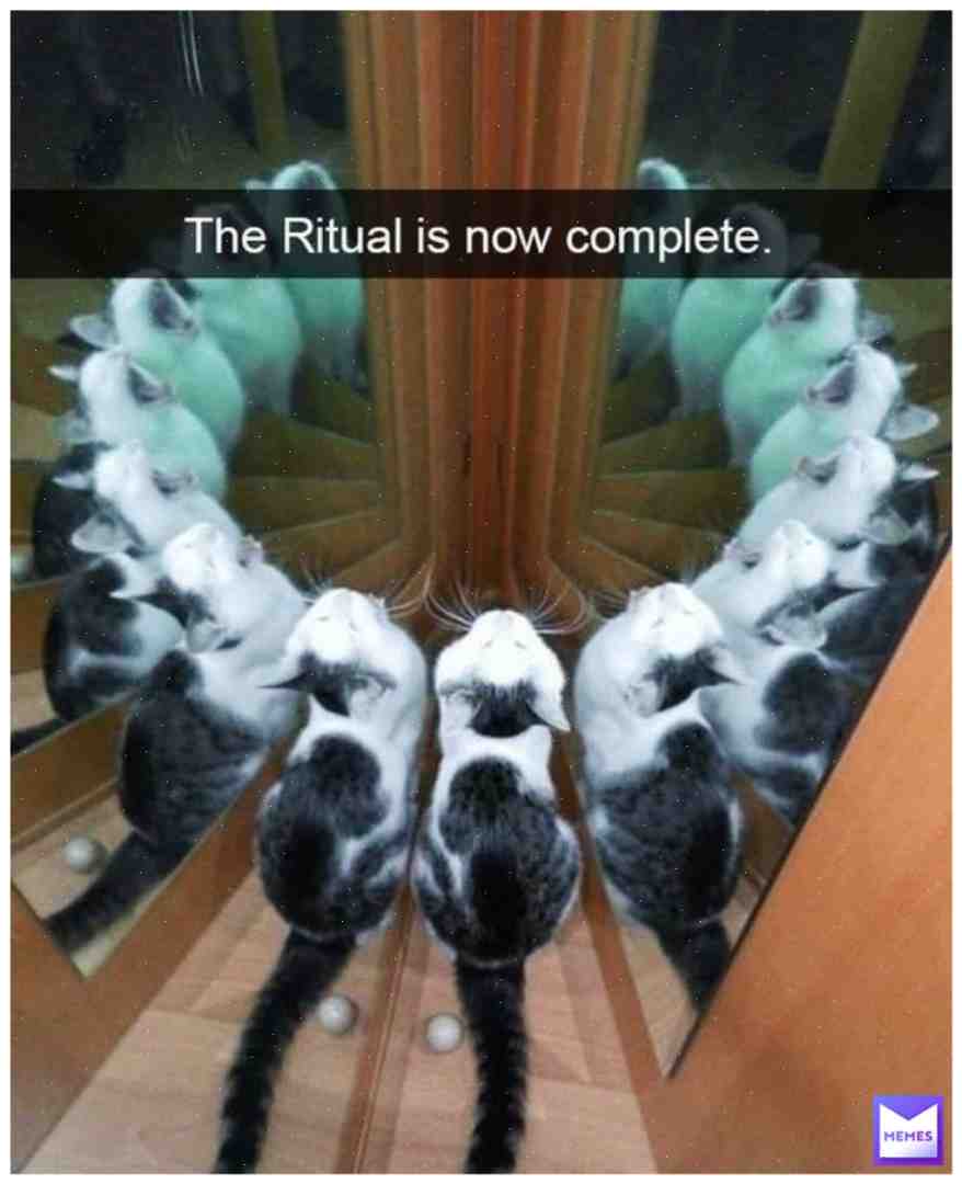 Meme shared by @2yung2bsad