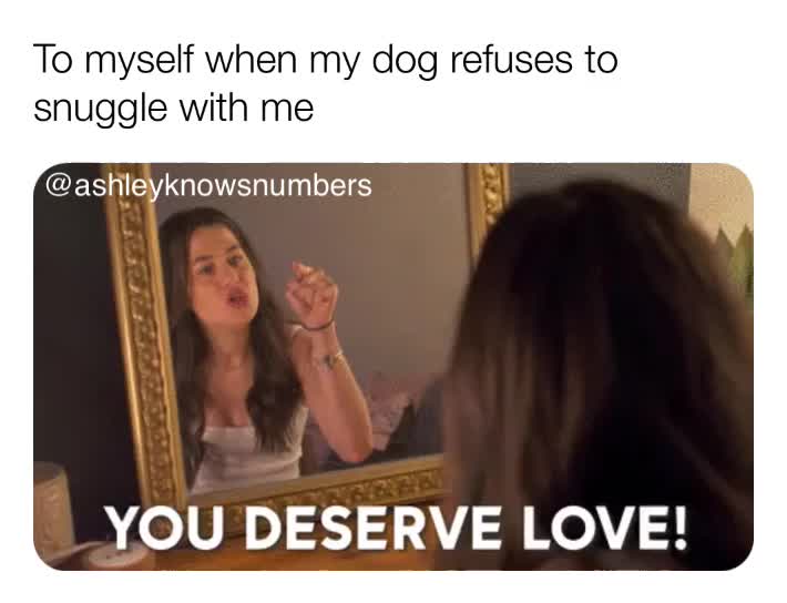 #dog #dogs #dogmom #dogmomlife #dogmeme