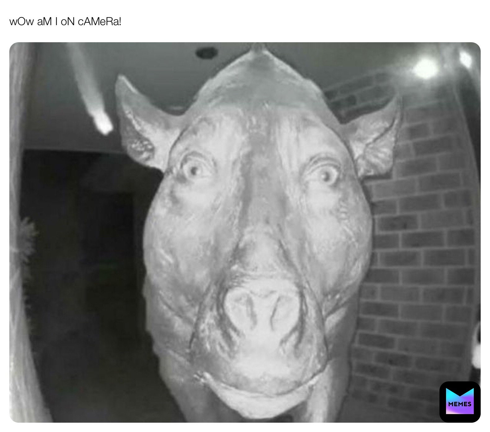 Meme by concrete_memes