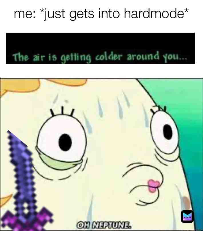 #terrariamemes