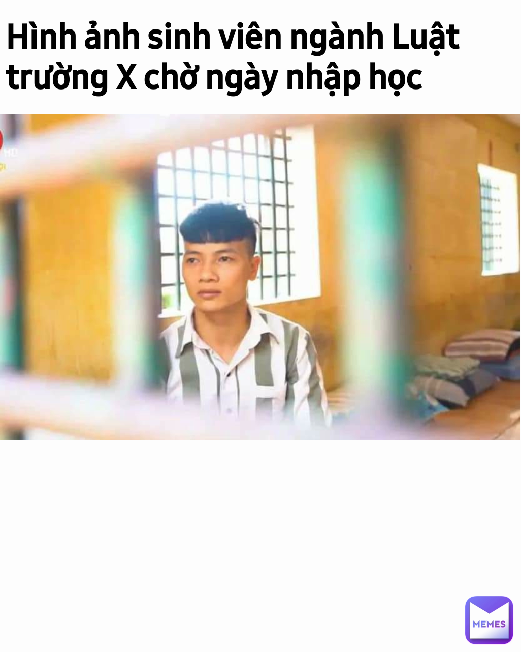 Hình ảnh sinh viên ngành Luật trường X chờ ngày nhập học