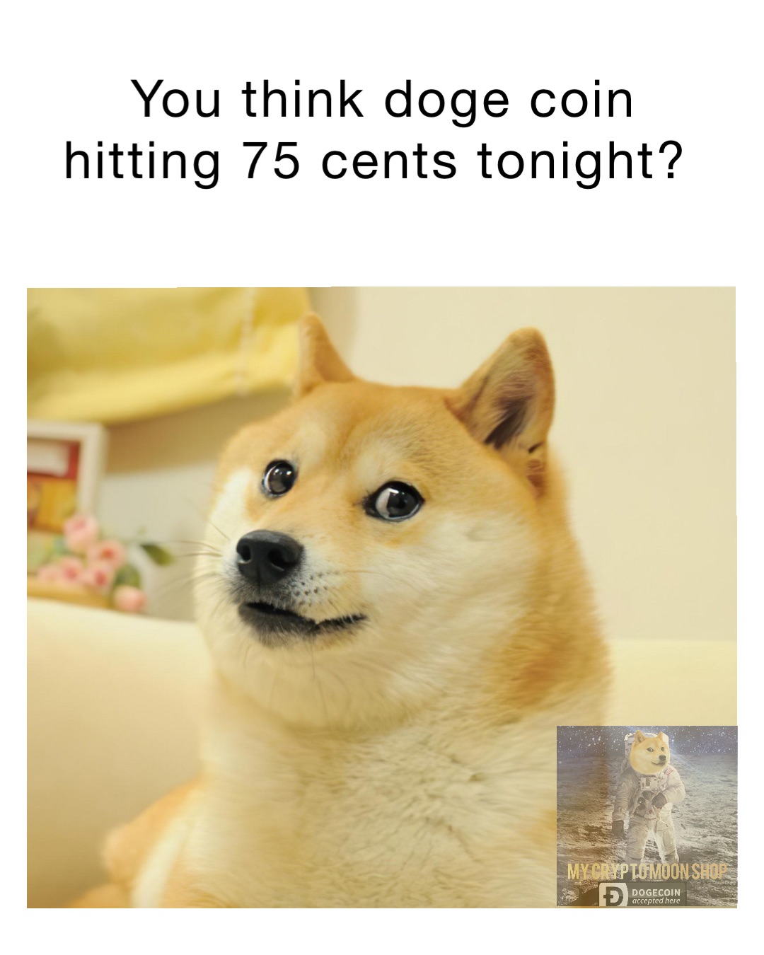 You think Doge Coin hitting 75 cents tonight?