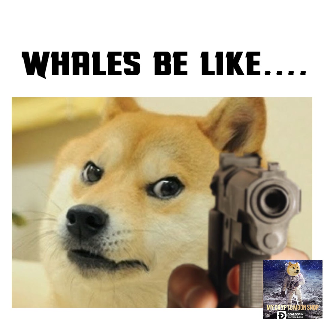 whales be like....