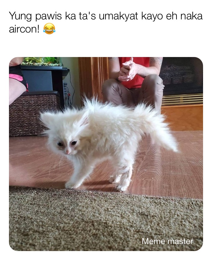 Meme by meme_babygurl