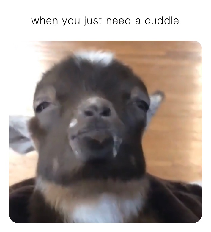 Meme by praotar_mathius