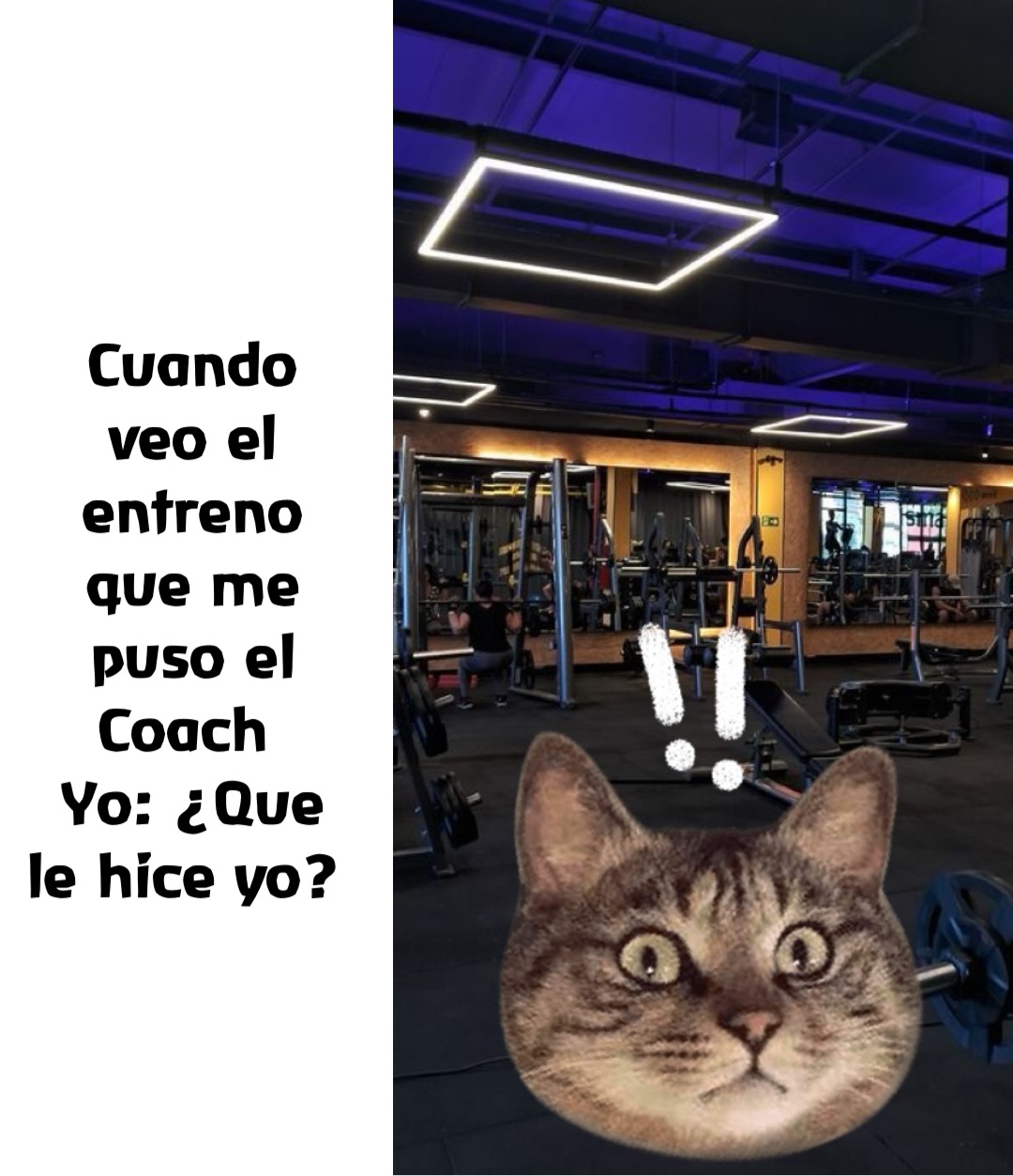 Cuando veo el entreno que me puso el Coach
Yo: ¿Que le hice yo?