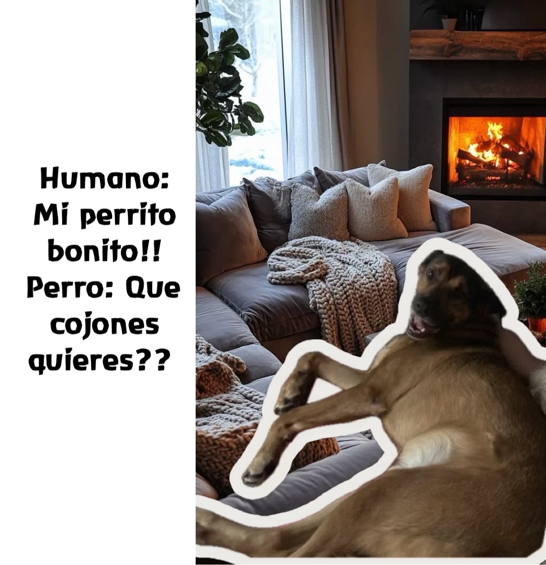 Humano: Mi perrito bonito!! 
Perro: Que cojones quieres??