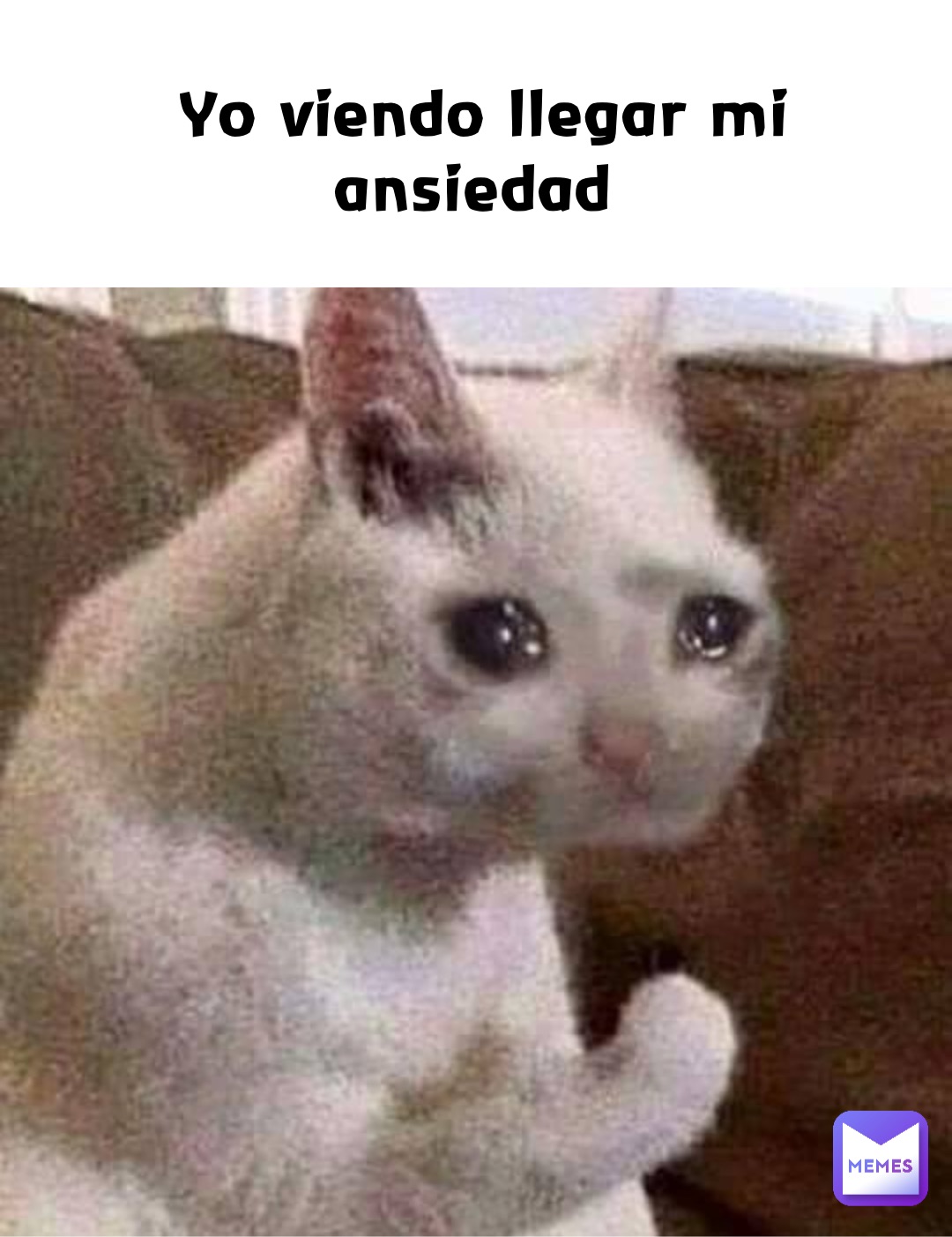 Yo viendo llegar mi ansiedad