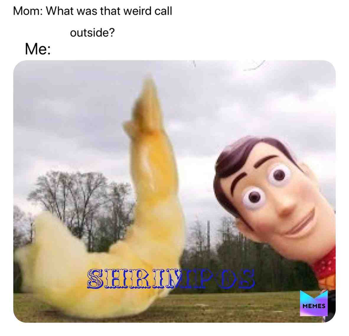 #memes4life  #sml  #woody