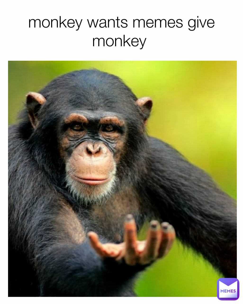 monkey wants memes give monkey 