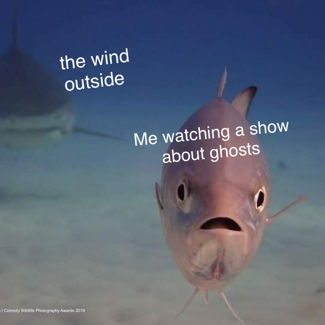 Me watching a show 
about ghosts the wind outside