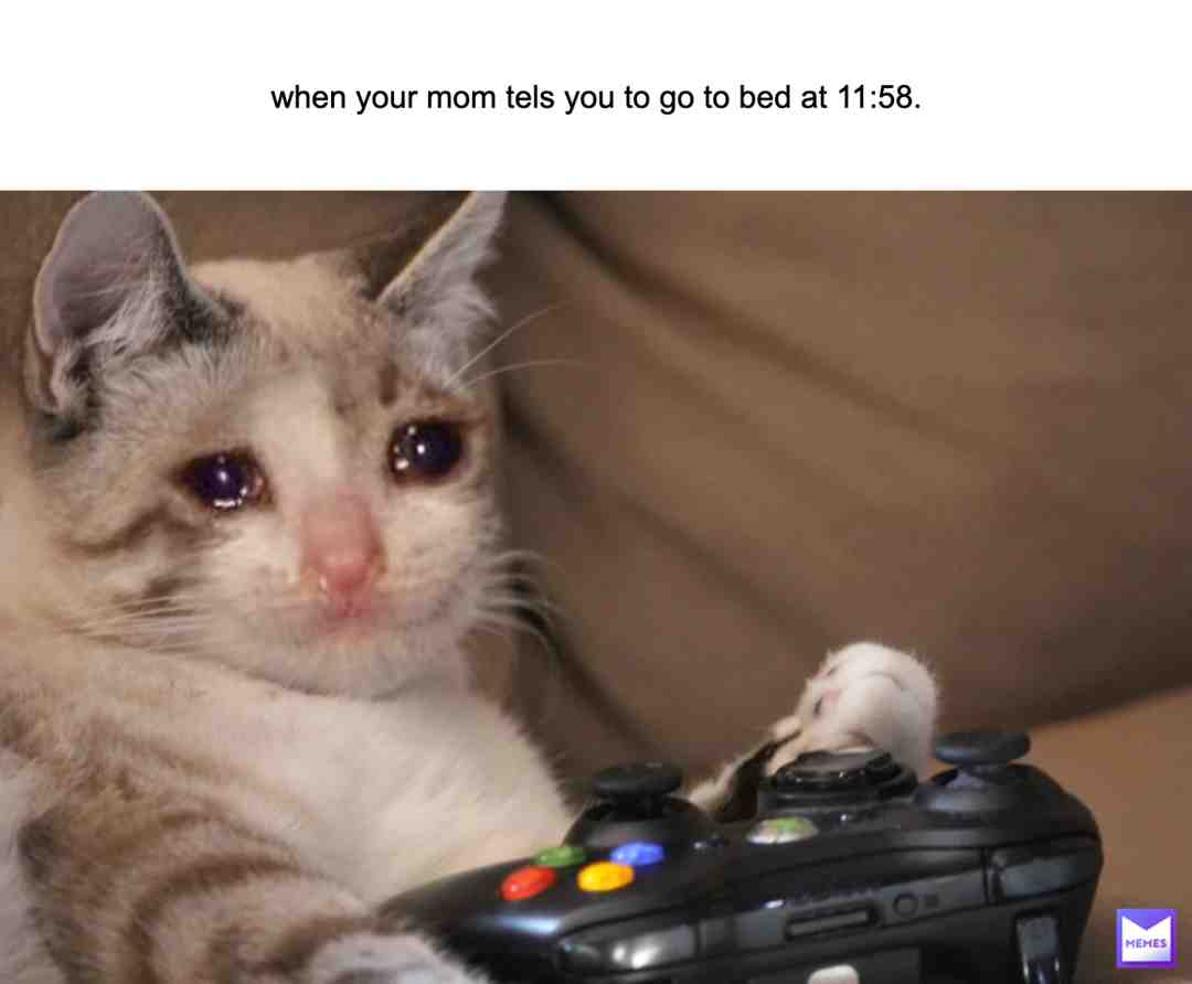 Meme preview