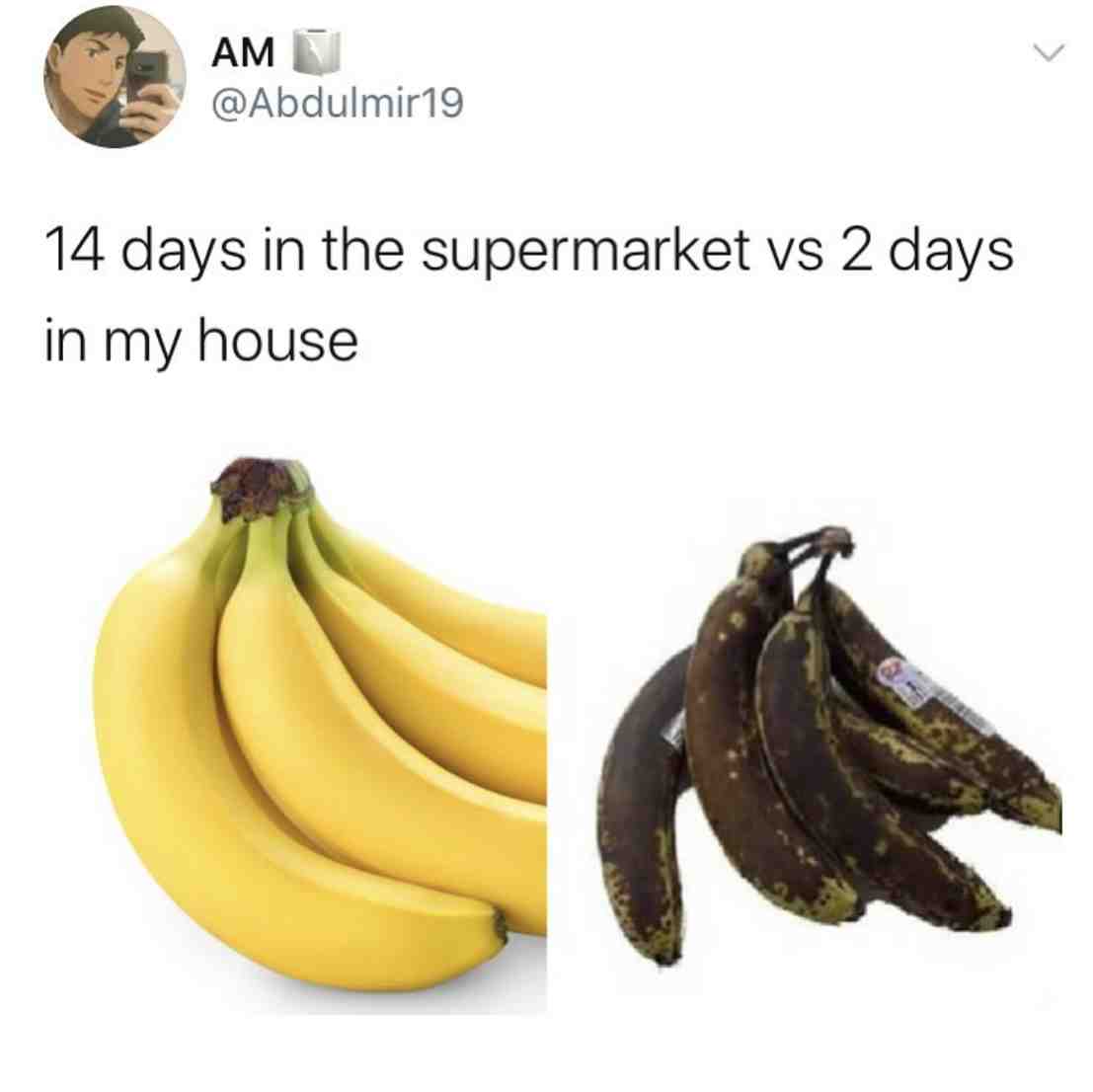 Meme preview