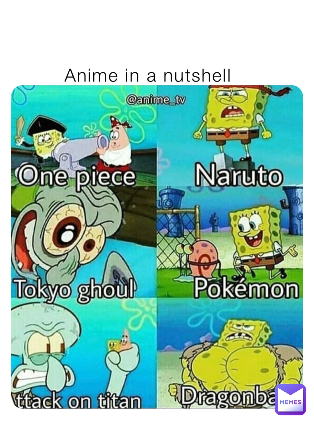 Anime in a nutshell
