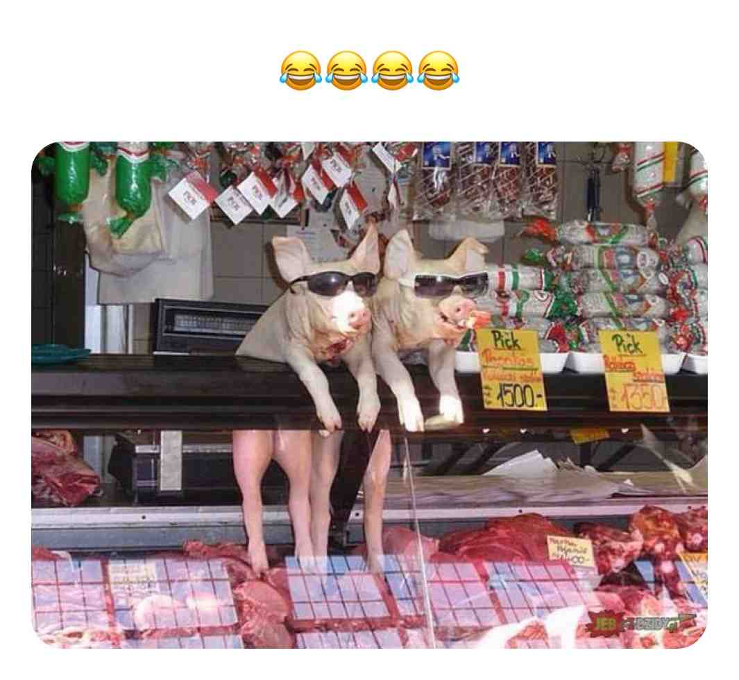  #viralteam #viralmeme #viralpost #virals #memesdank #videomemes #memes4ever #videosfunny #dailyvideo #crazyvideo #dark_humor #darkhumoristhebesthumor #darkhumorjokes #darkhumormeme #darkhumorclub #darkhumormemes #darkhumor #wierdmemes #funnyassmemes #legendarymemes #sensitivememes #dankassmemes #edgymemesforteens #stupidmemes #spicymemesdaily #follow4follow #follownow #followshoutoutlikecomment #likesforfollow #like4likeback