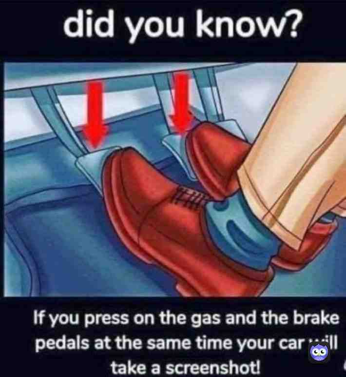 Meme #meme #memes #twitter #dailymemes #memesdaily #funny #memes #dankmemes #lol #humor #jokes #potato #potatomemes #Imao #twitter #twittermemes #tag #comment #follow #repost #instagram #love #coronavirus #corona