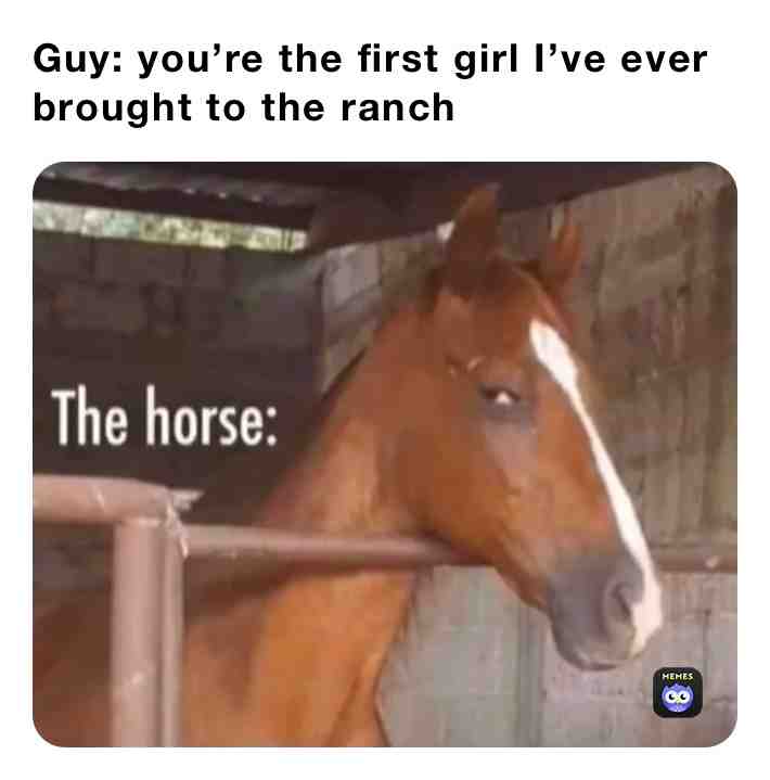 #memes