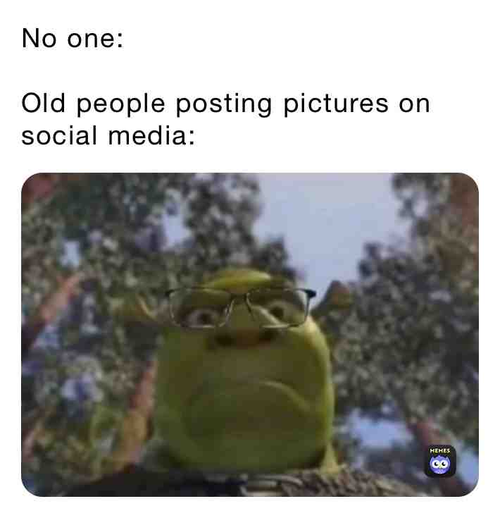#memes  #memes