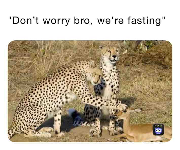 Meme shared by @shaidude