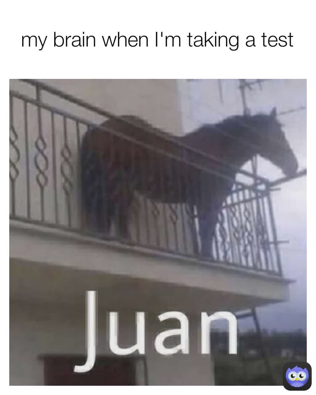 my brain when I'm taking a test