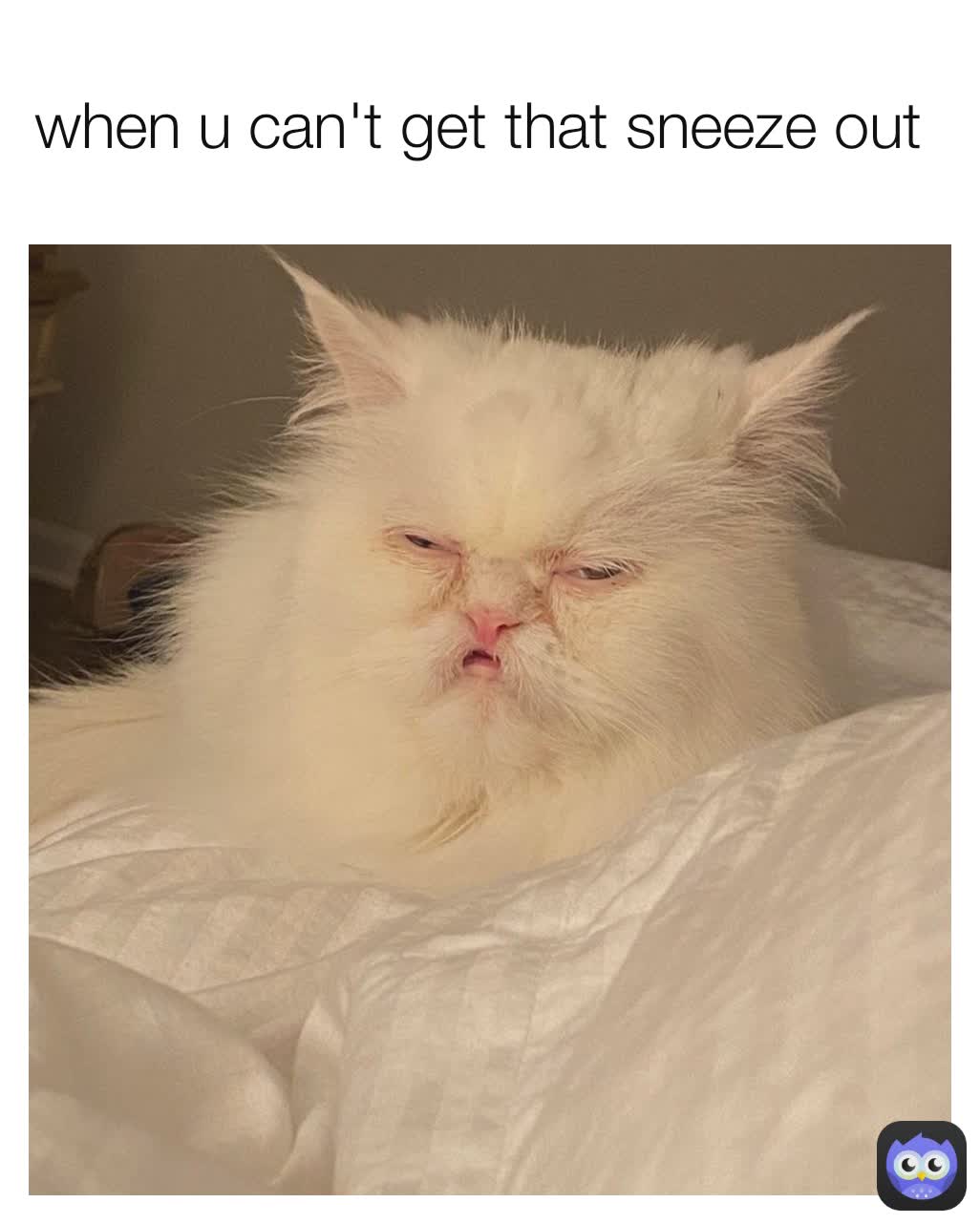 when u can't get that sneeze out 