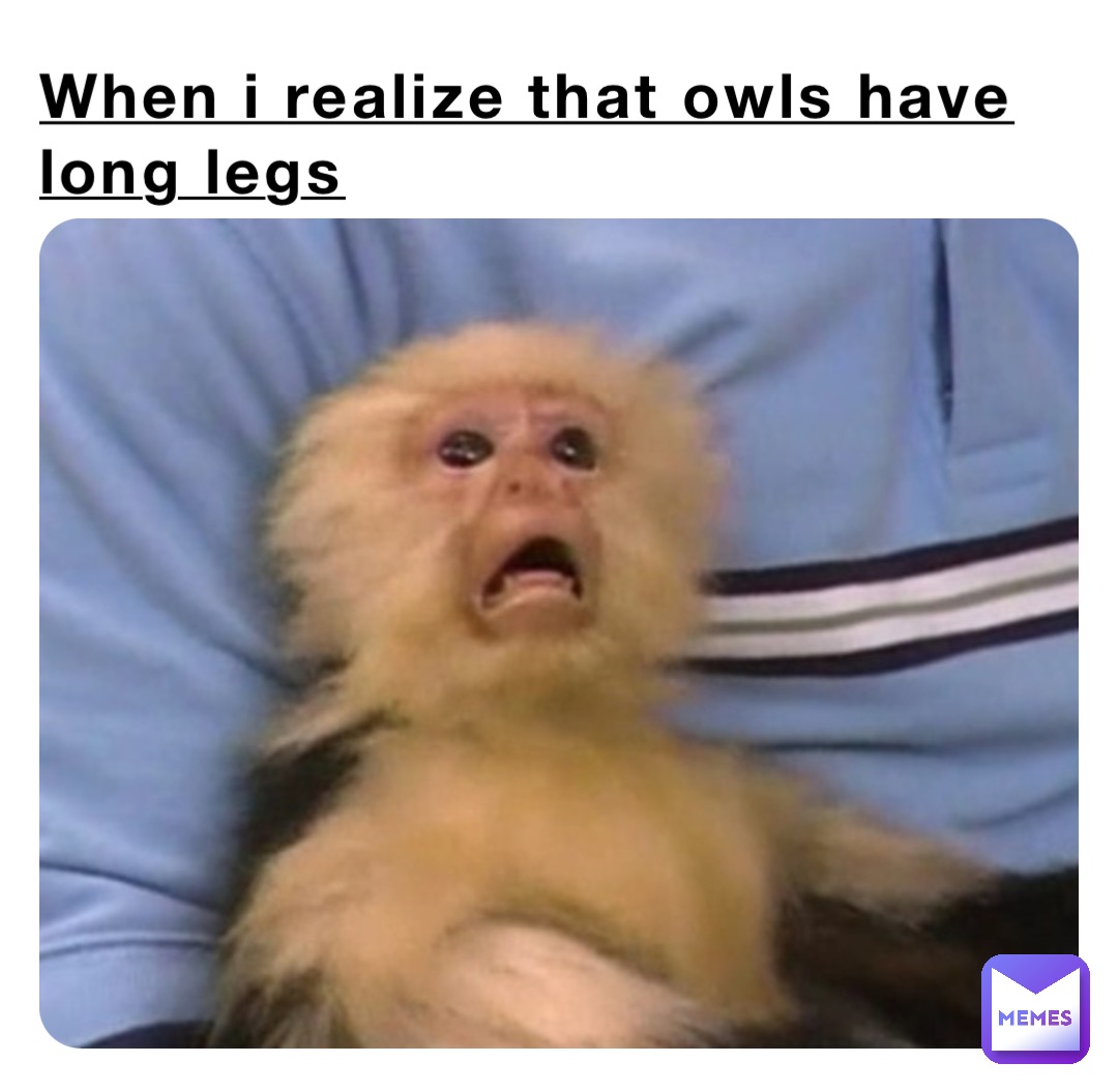 When I realize that owls have long legs, @Rellik999