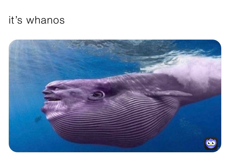 it’s whanos