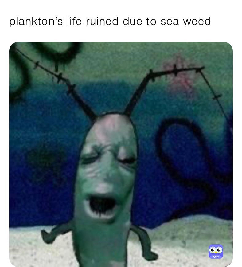 plankton’s life ruined due to sea weed