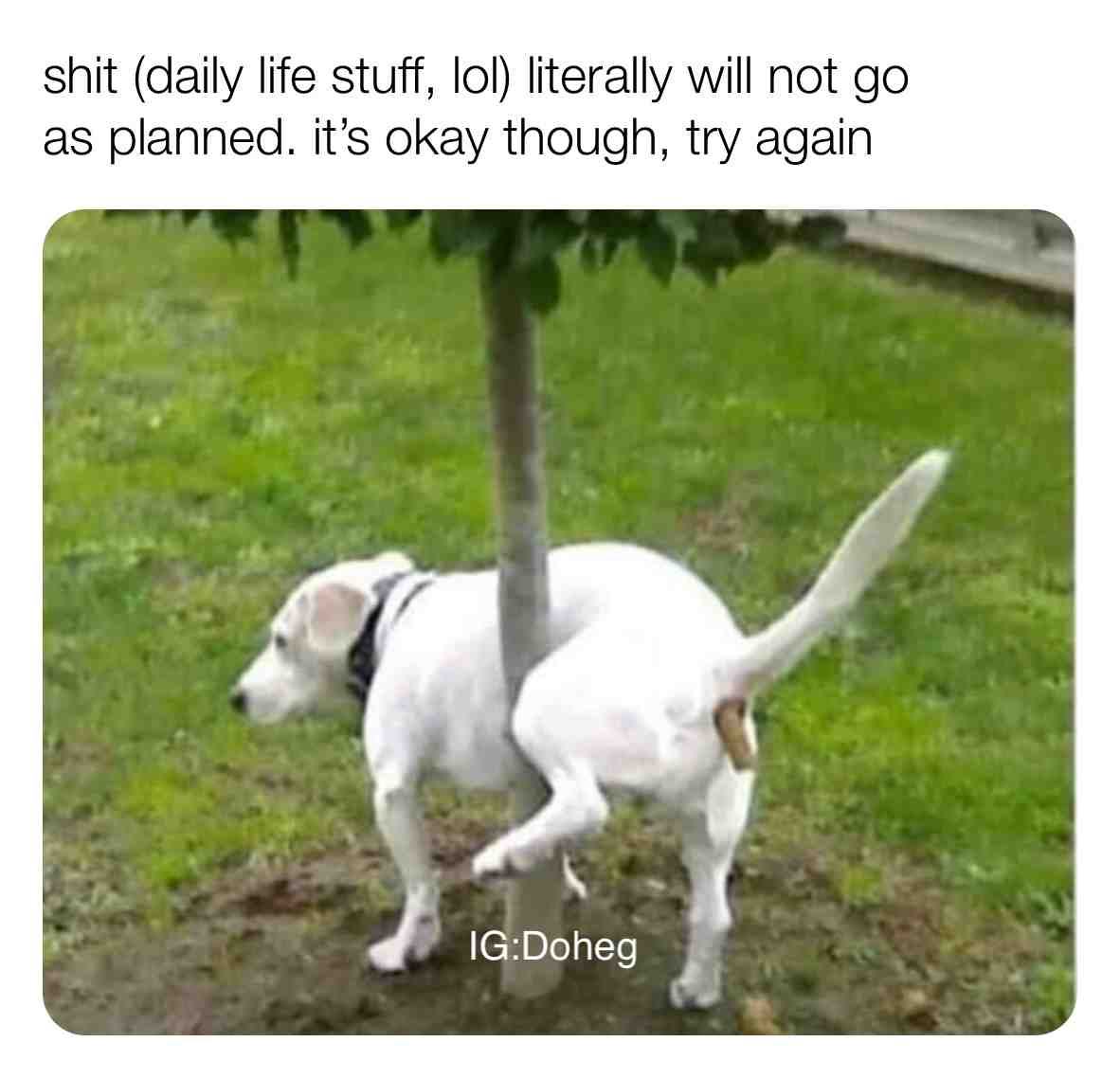 Honestly, I feel for this dog
.
.
.
.
.
#gym #worried #motivational #surprised #positivevibes #instagood #forgot #goals #life #fit #inspiration #dreambig #physco #photography #fitness #positive #days #instagram #motivationalquotes #motivate #maturity #feel # #follow #situations #own #love #success #lifestyle #changed