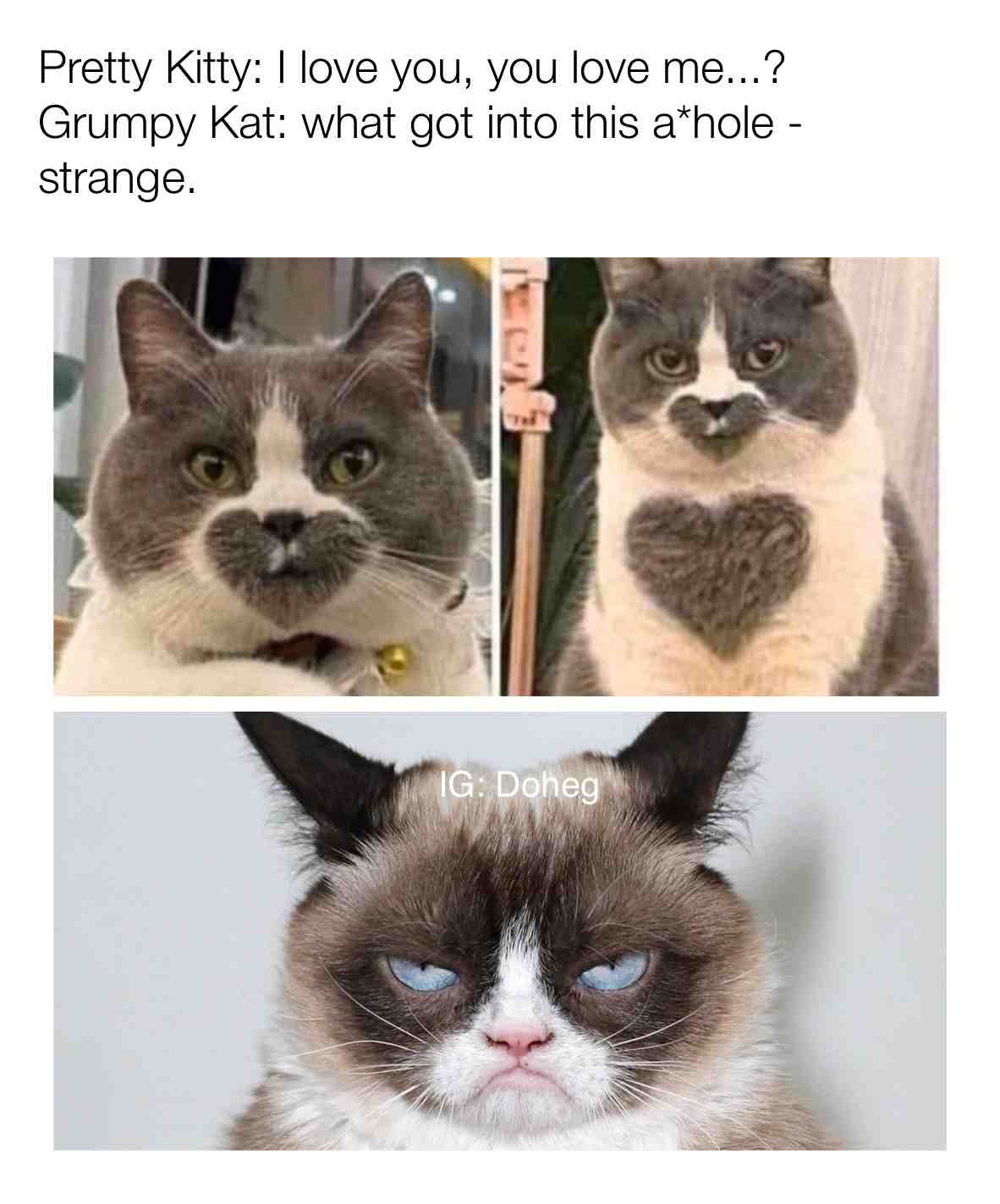 Opposites truly do attract... #lol
.
.
.
.
.
#mood #cat #cats #grumpycat #grump #instacat #instapet #dailycute #dailycuteness #orangecatsofinstagram #petinfluencer #orangecat #cat #cats #catstagram #kitty #cute #love #catlover #adorable #tabby #citrusnation #cats #catsoflosangeles #gingercat