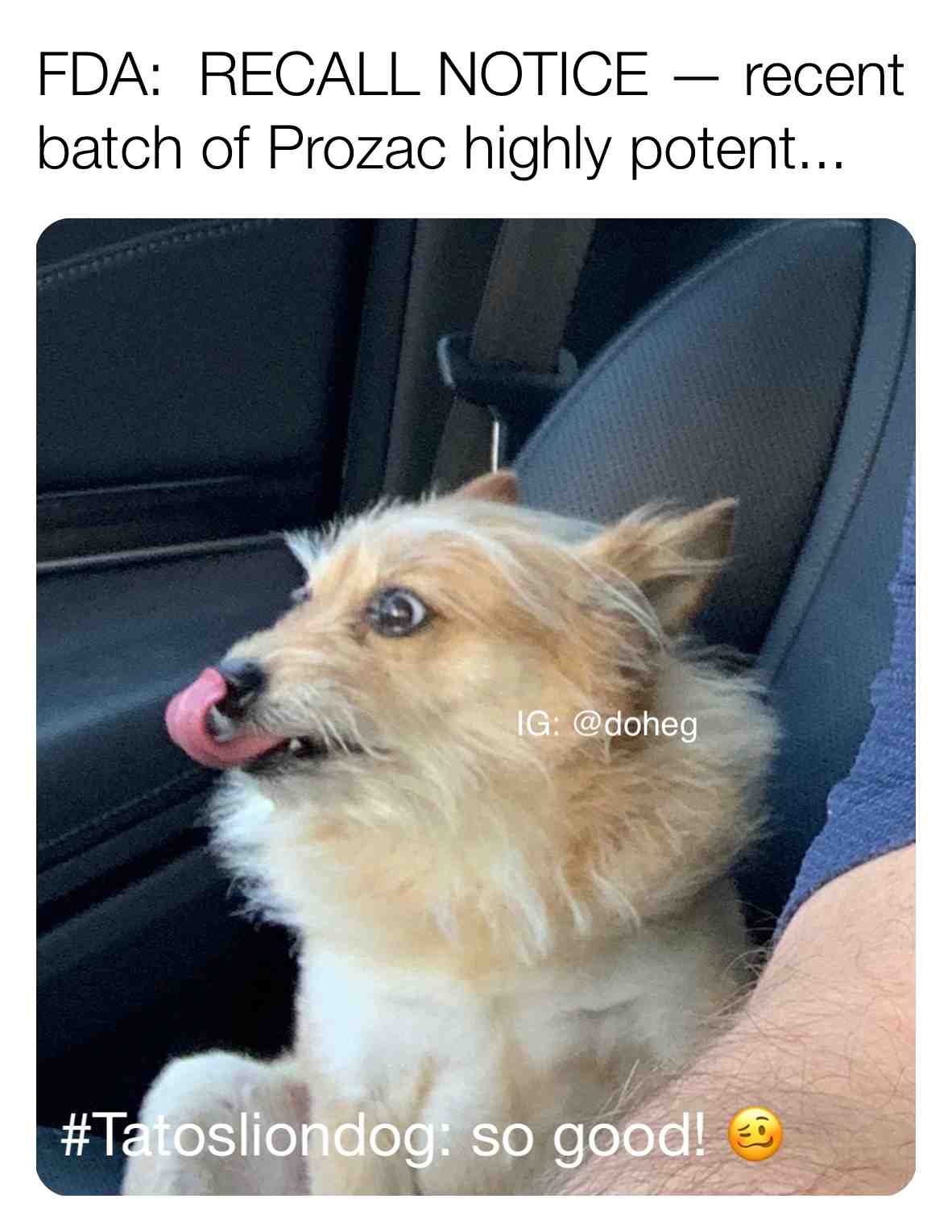 Yup, my pill popping dog is having a moment. Please excuse his trip into pure ecstasy. \u2063
.\u2063
.\u2063
.\u2063
.\u2063
.\u2063
#dankmemes #doglovers #puppiesofinstagram #ligma #gangweed #puppy #doglover #dog #isthisloss #babyimyours #offensive #funny #meme #puppylove #dogsofinsta #dogsofinstagram #doglife #dank #edgymemes #memes #instadog #howardthealien #memesdaily #dogoftheday #weliveinasociety #offensivememes #offensivememe #dogs #tpose #dogstagram