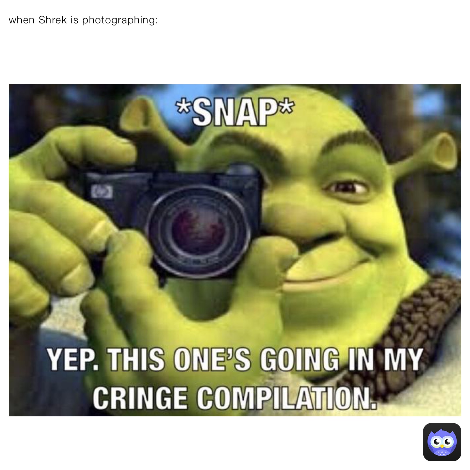 when Shrek is photographing:￼