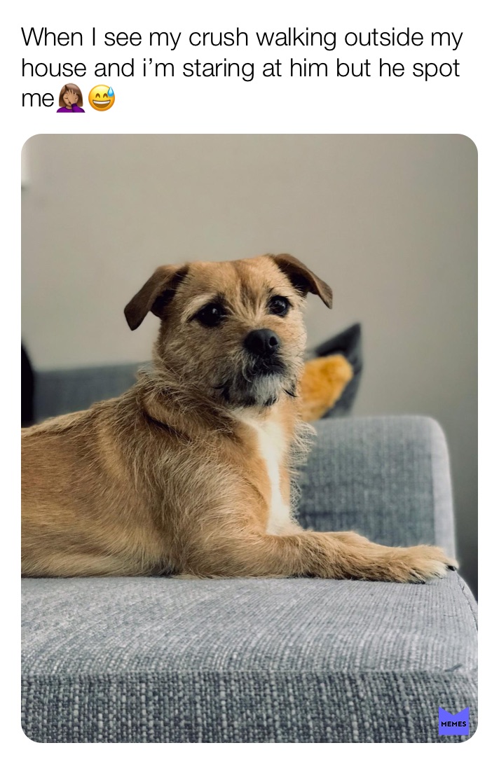 Meme by liefs_abigail