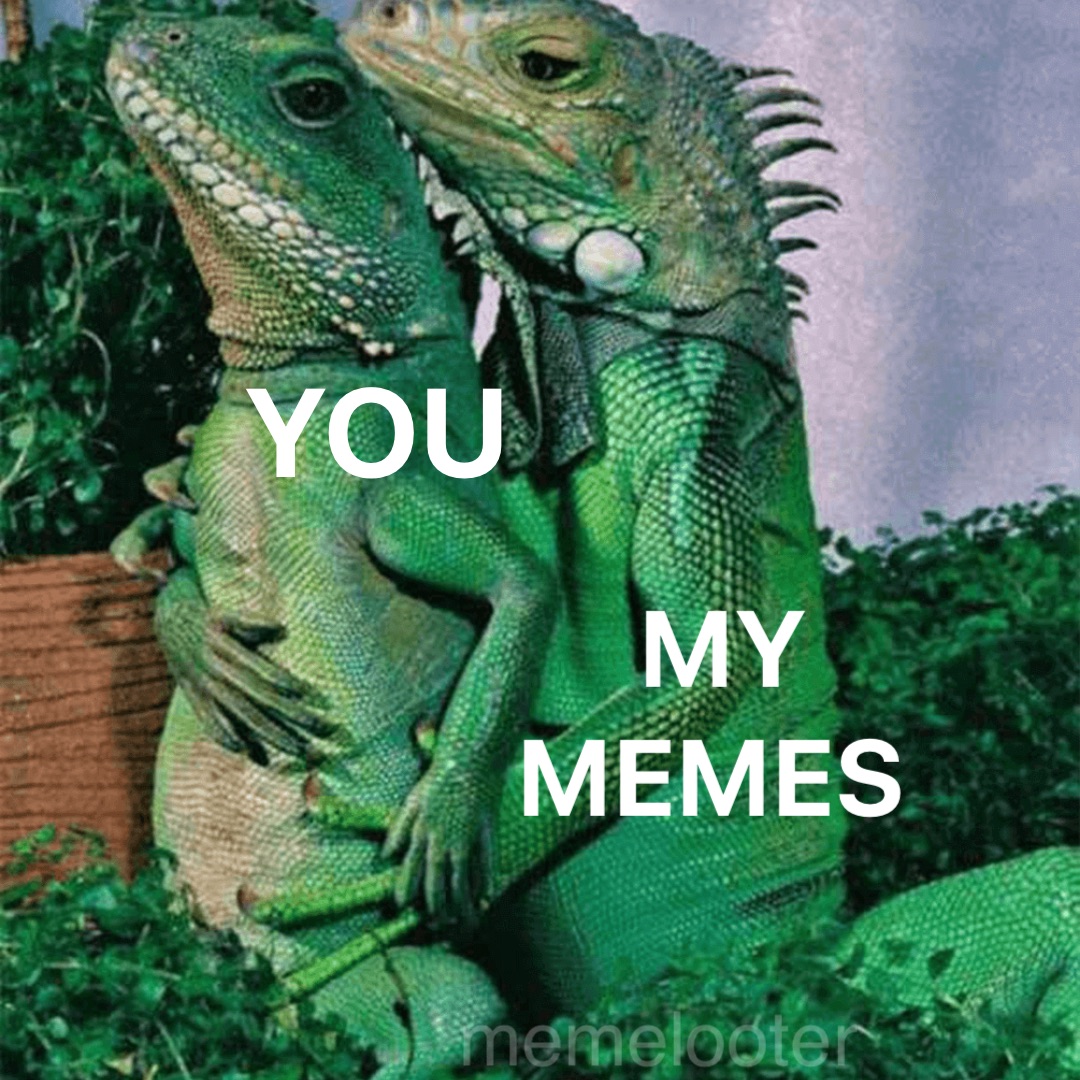 YOU MY 
MEMES