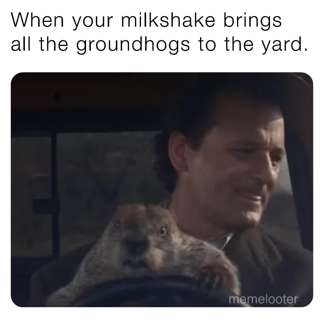 Meme shared by @memelooter