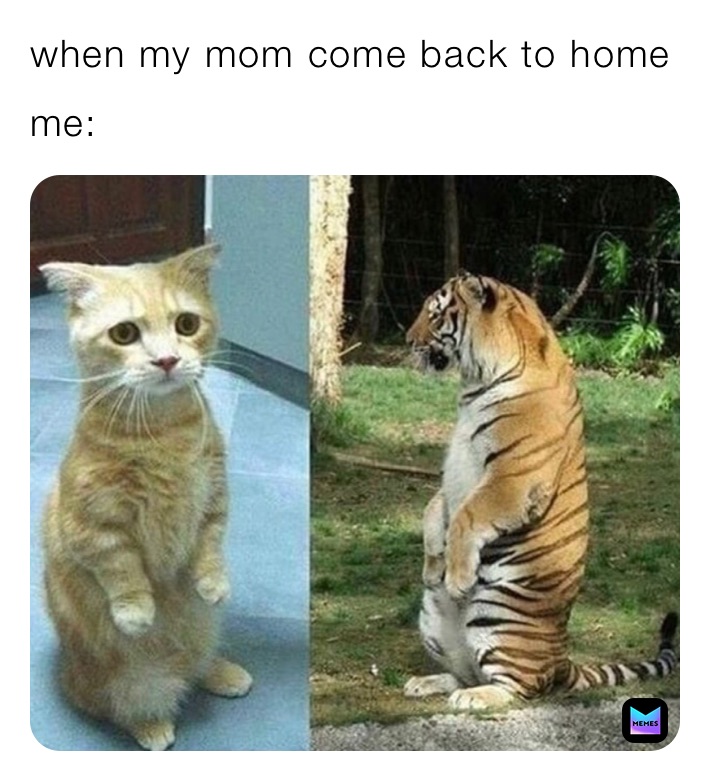 when my mom come back to home 
me: