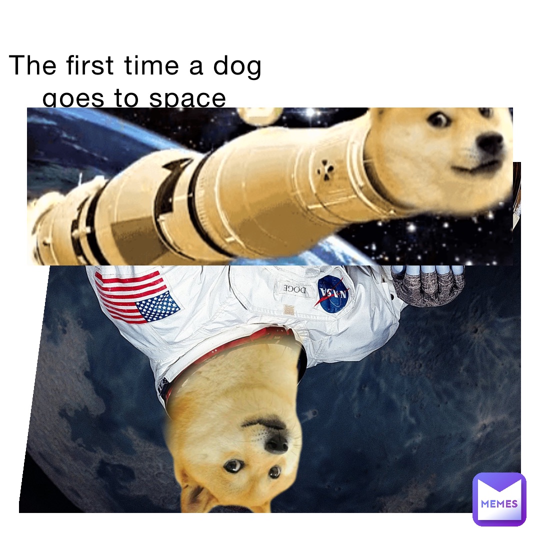 The first time a dog goes to space