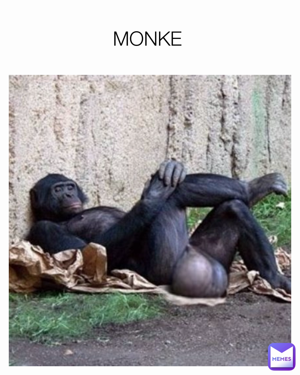 MONKE 