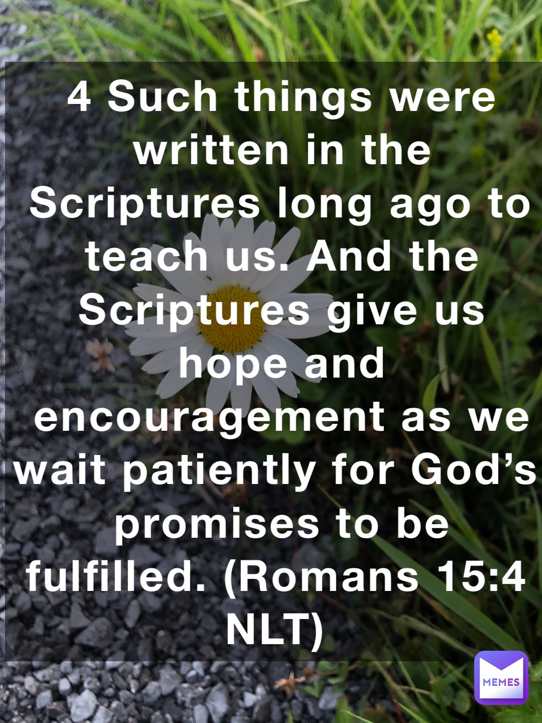 4 Such things were written in the Scriptures long ago to teach us. And the Scriptures give us hope and encouragement as we wait patiently for God’s promises to be fulfilled. (‭‭‭Romans‬ ‭15‬‬:‭4‬ ‭NLT‬‬)
