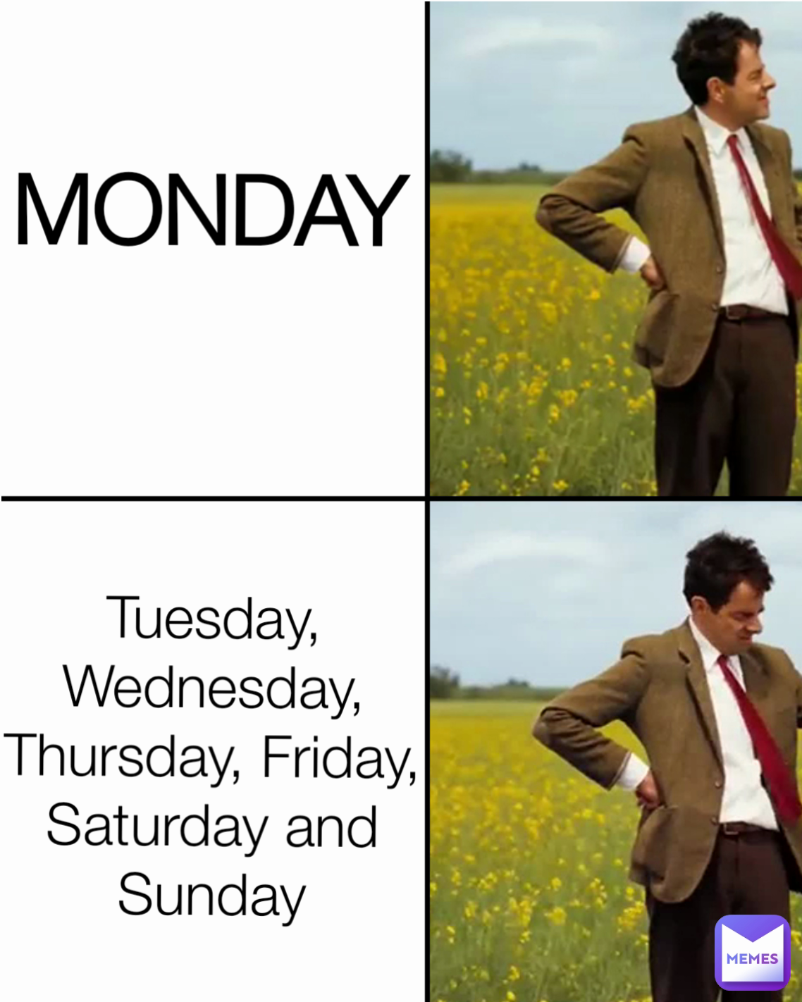 Tuesday, Wednesday, Thursday, Friday, Saturday and Sunday MONDAY 