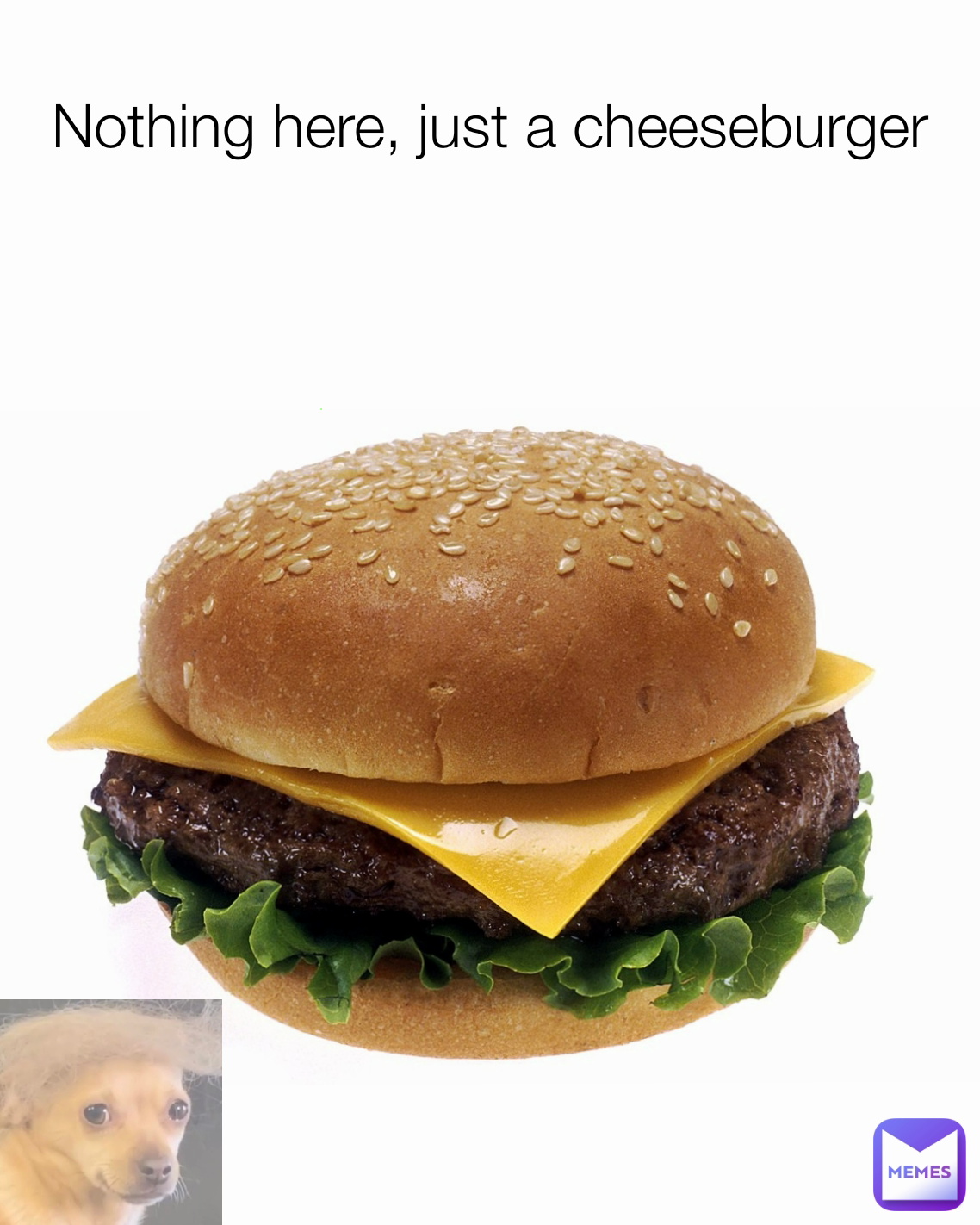 Nothing here, just a cheeseburger