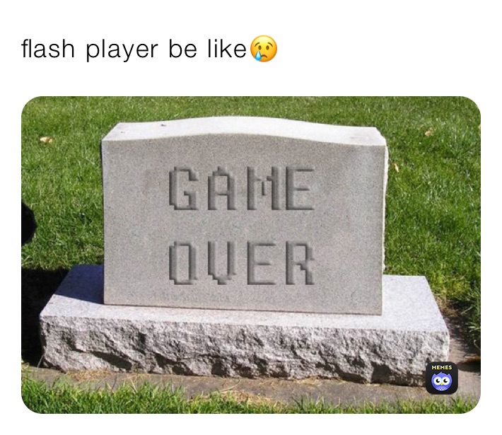 flash player be like😢