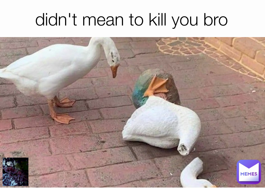 didn't mean to kill you bro