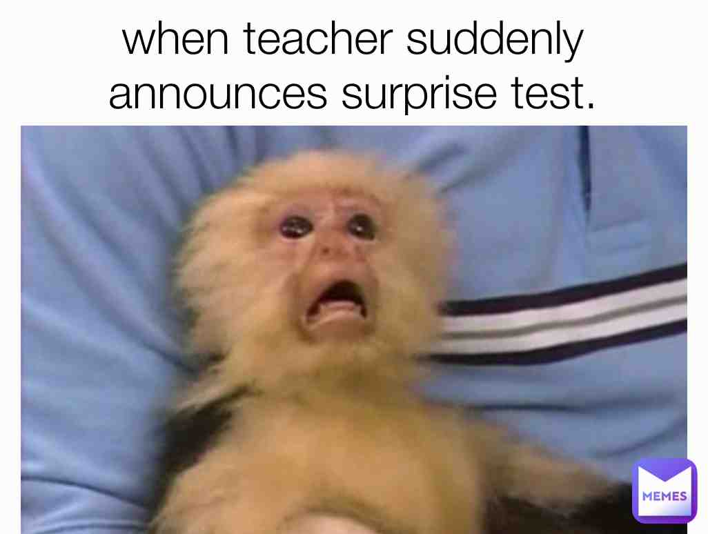 Surpriseeeeee