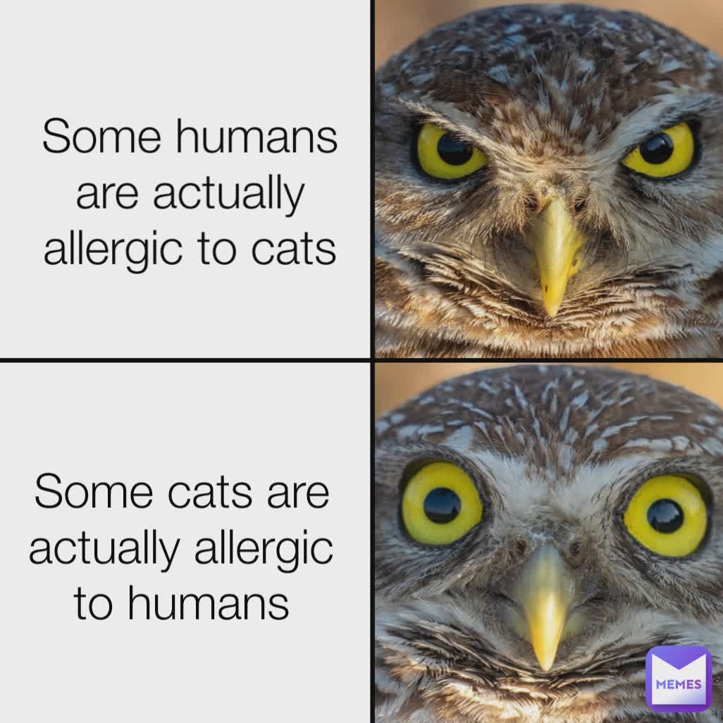 Some humans are actually allergic to cats Some cats are actually allergic to humans