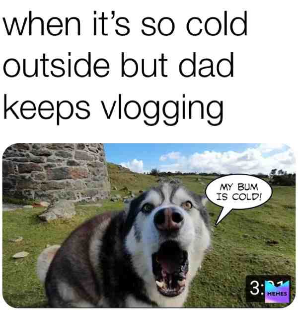 #cold  #bum  #sherpa  #huskymute  #doggo  #goodboy  #vlog