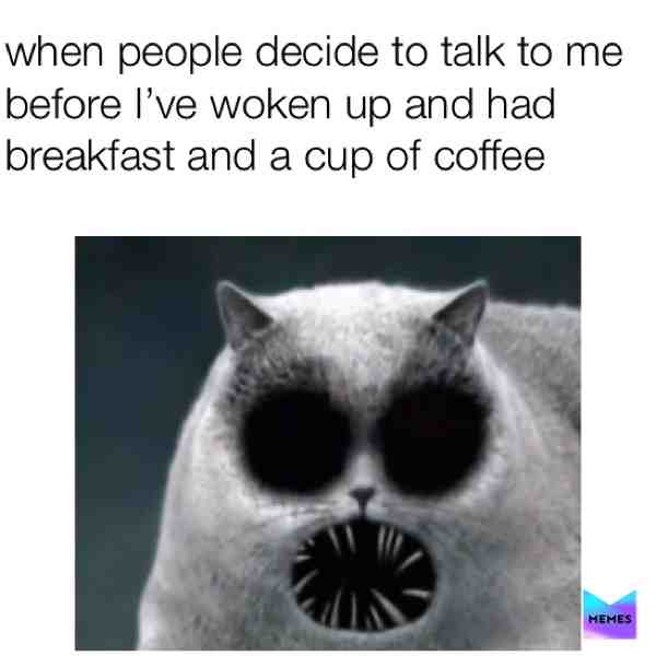 #coffee  #cat  #hangry  #tired