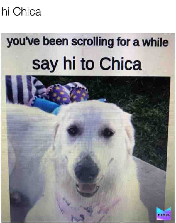 #markiplier  #chica  #puppo  #doggo