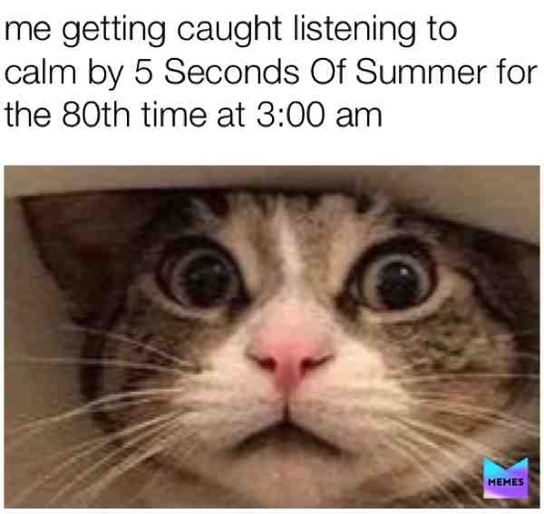 #kitten  #calm  #cat