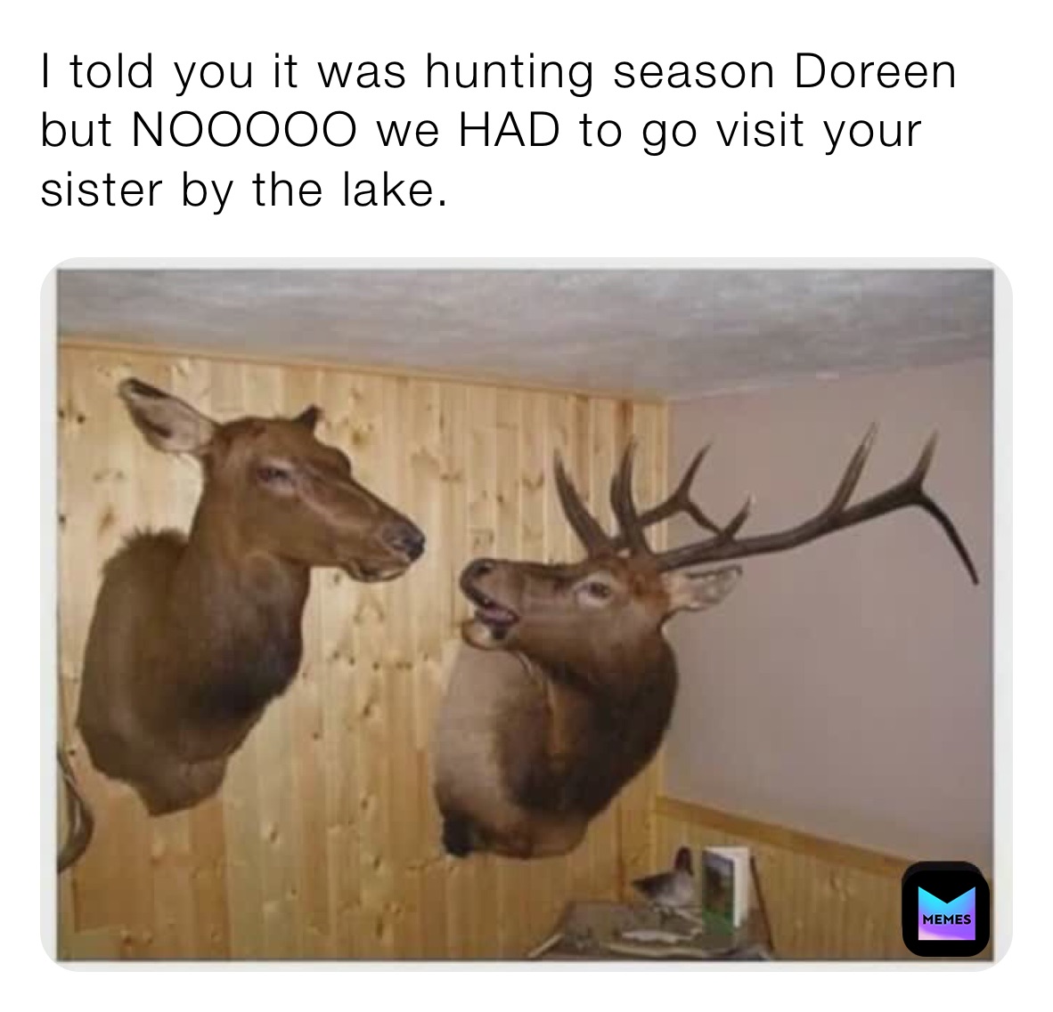 I told you it was hunting season Doreen but NOOOOO we HAD to go visit your sister by the lake. 